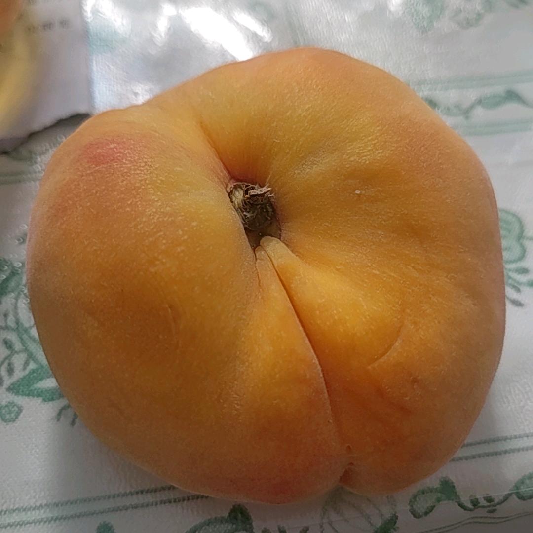 一只丑小鸭