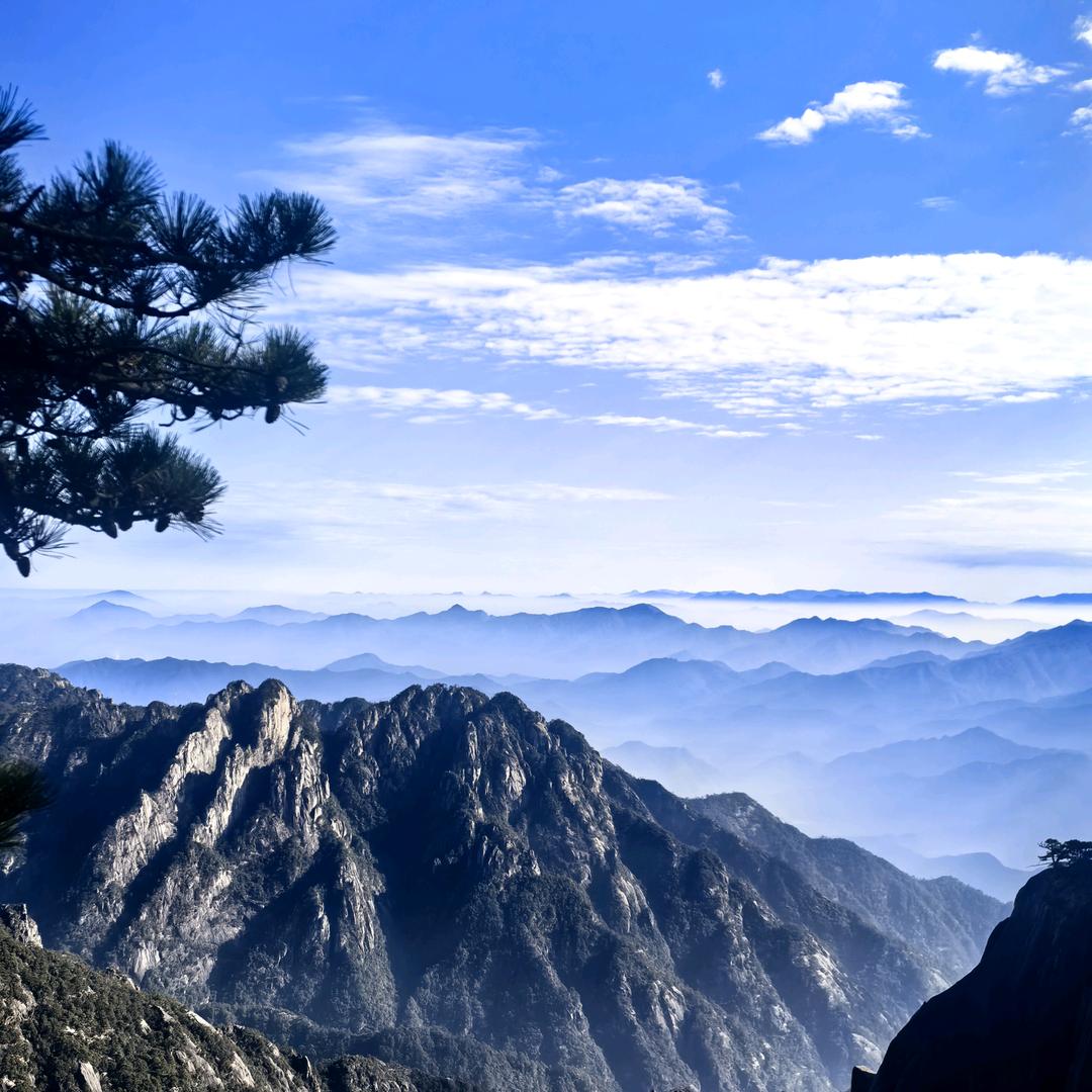 🍃  ꪶ清风ꫛꪅꪑꪶ🍃