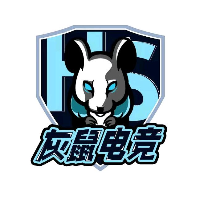 灰鼠电竞（三角洲行动）