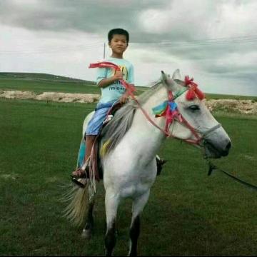 代素丽