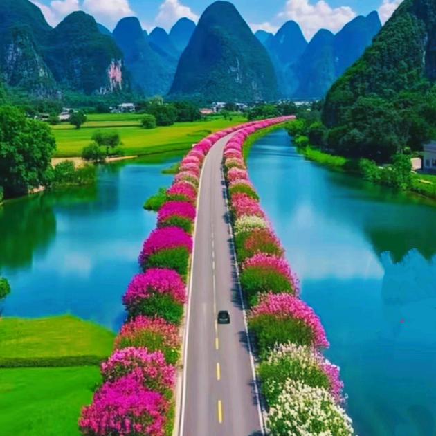 不改初心