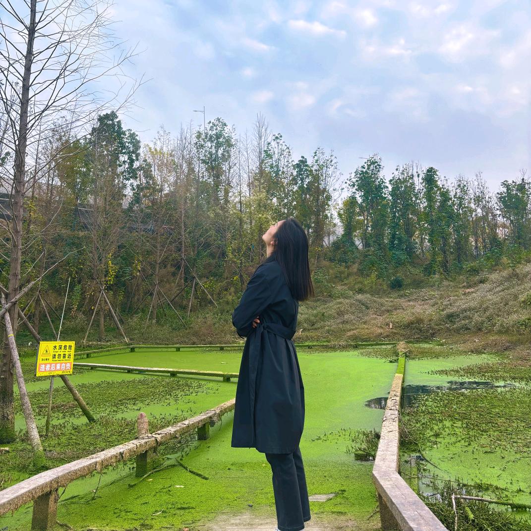 年年