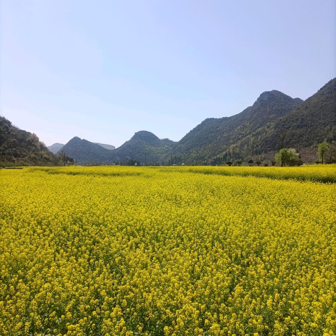 唐伯虎点蚊香