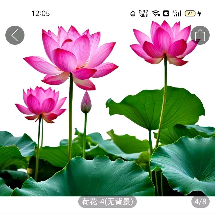 开❤快乐每一天🇨🇳🙏🙏🙏