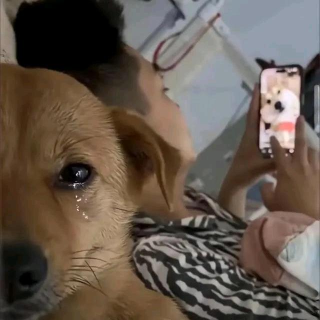陈锐笙
