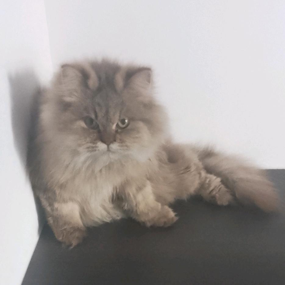 怎么开心怎么活