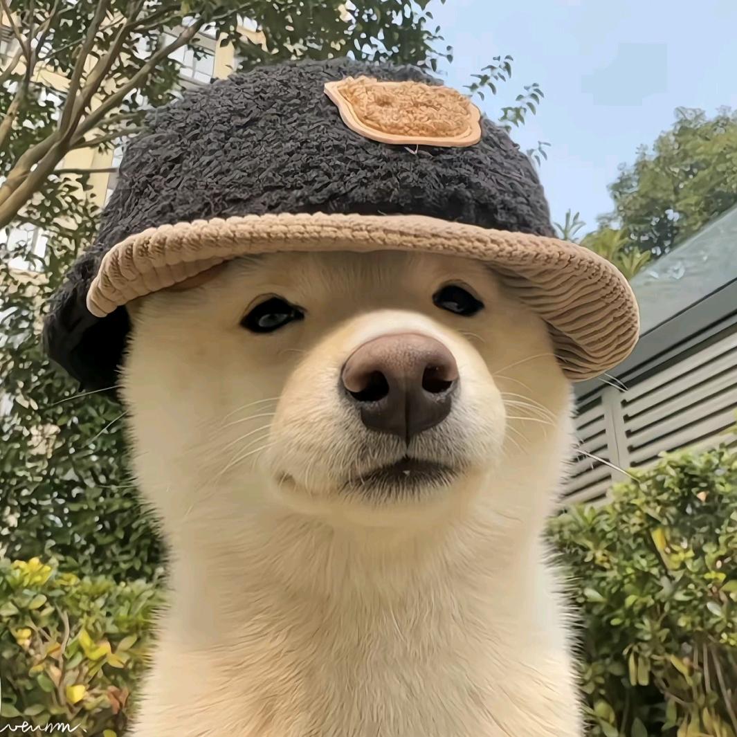 三只鞋