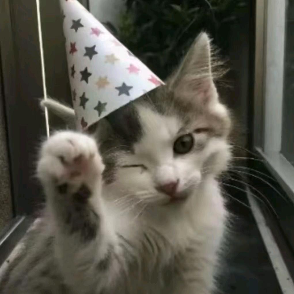 。。。。。。。
