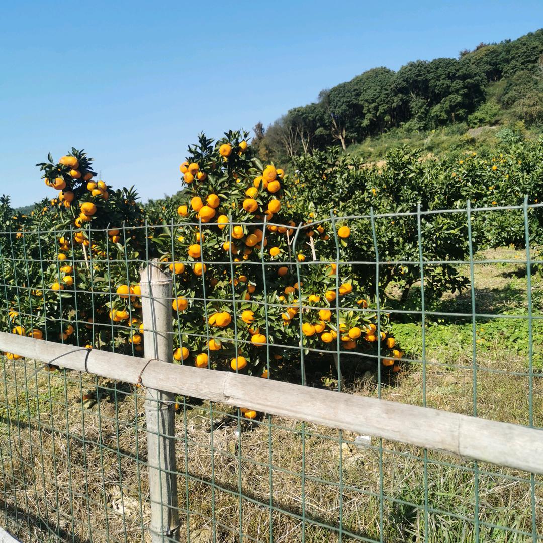 章姐做家常菜