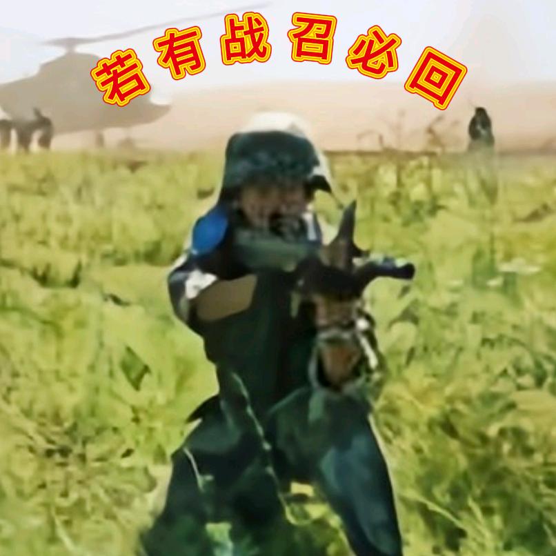 軍旅歲月