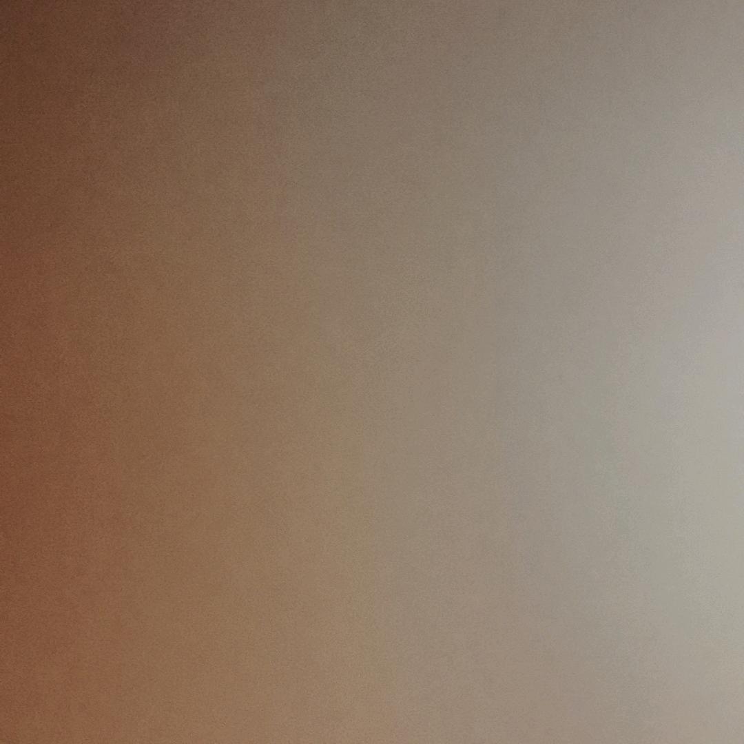 Ron-GBuddy 绒光伙伴