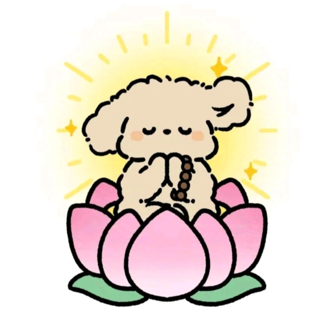 喂什么喂🌸🧡