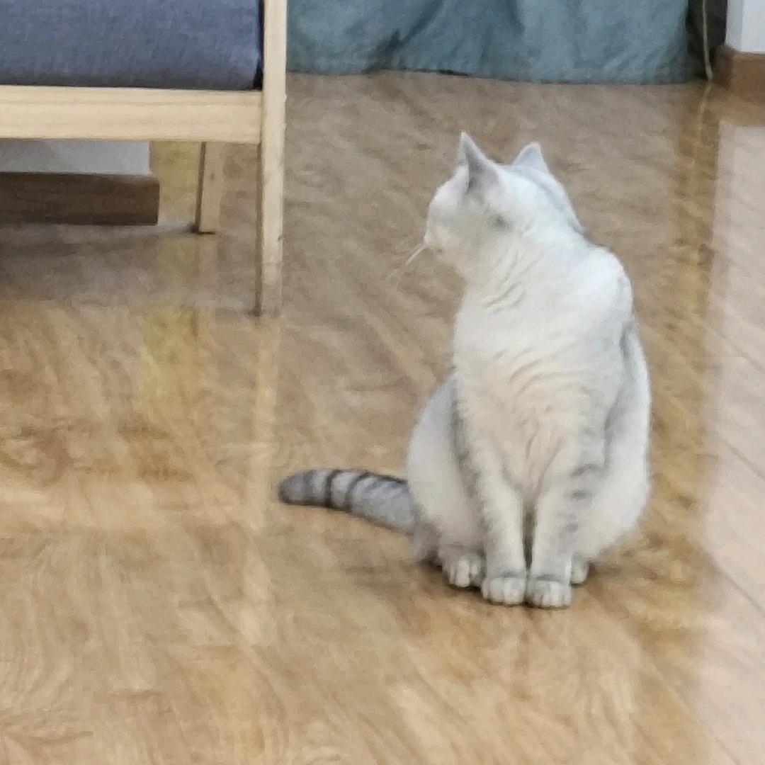 天若有情天亦老