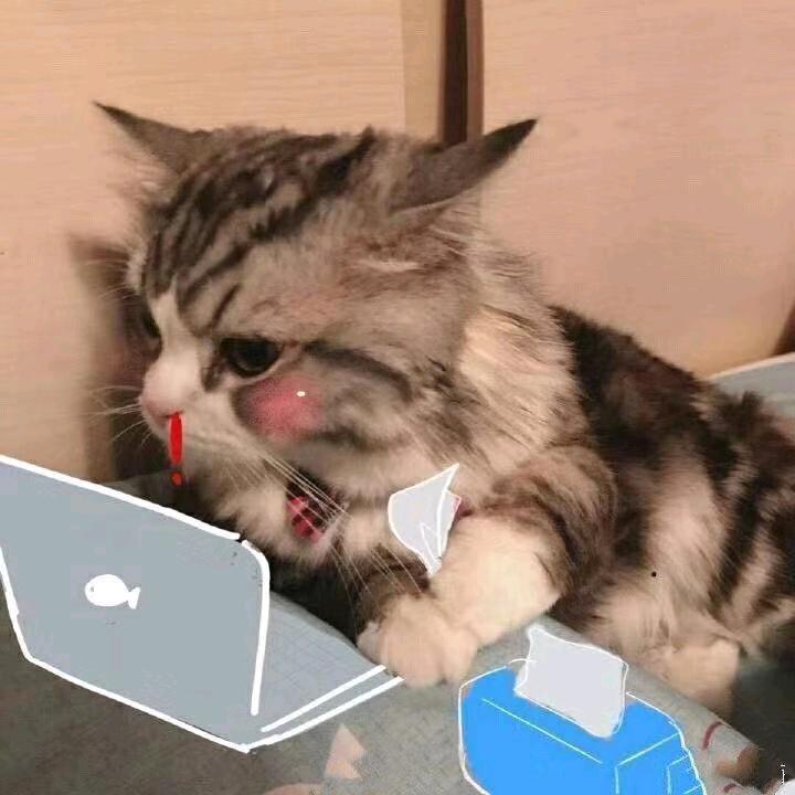 两天一顿螺蛳粉