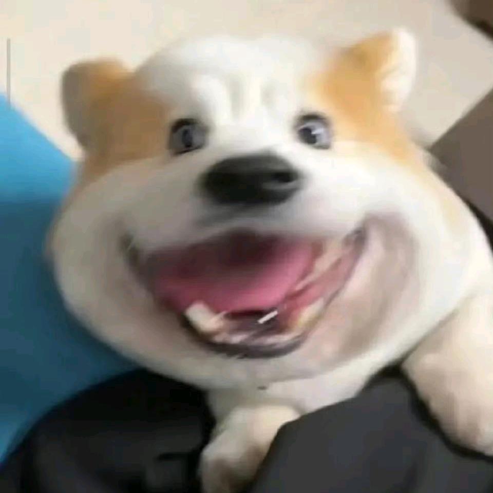 •︠ˍ•︡