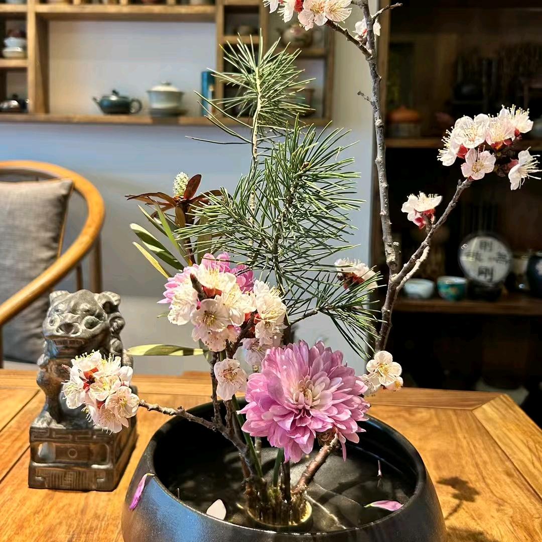 菲菲