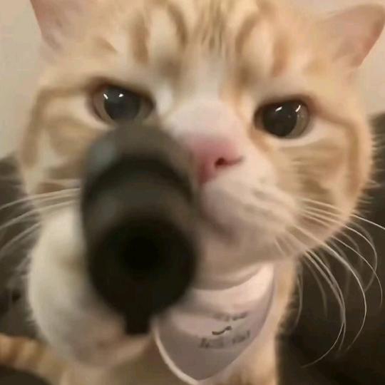 元宵