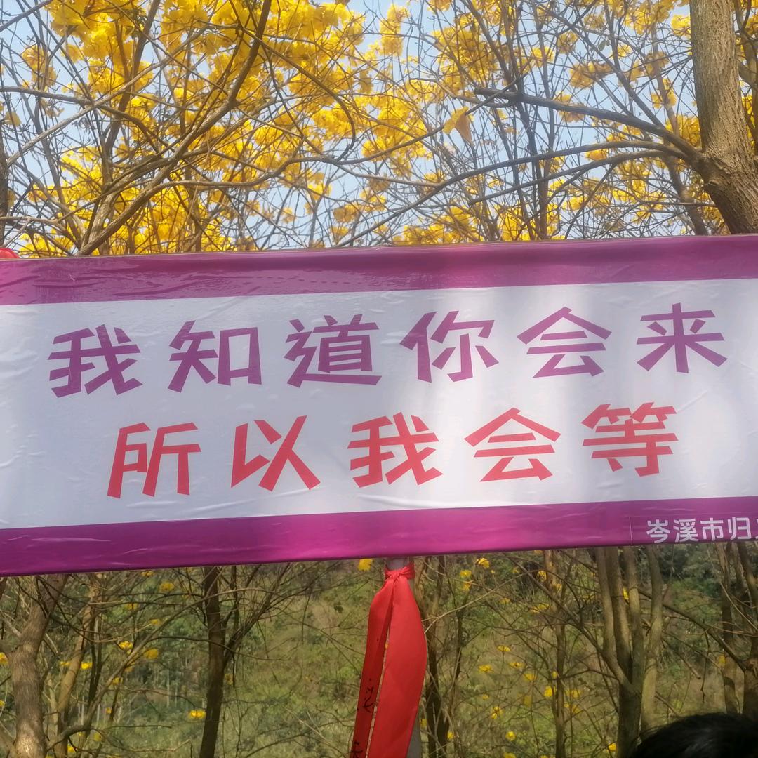 用户481892早出晚归