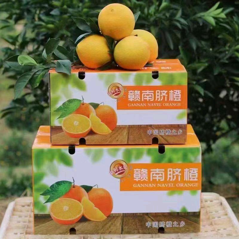 小钟家赣南脐橙
