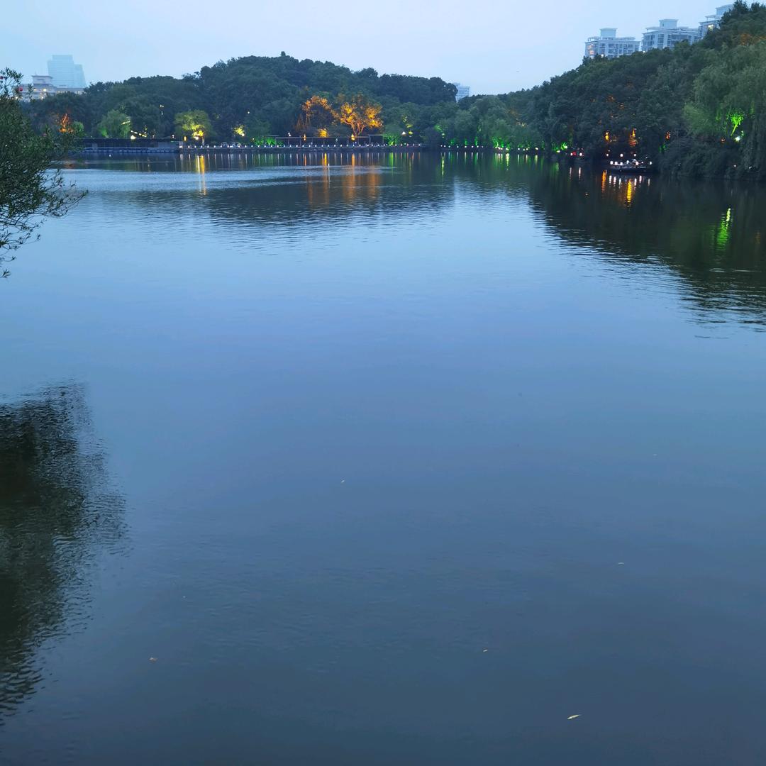 羽哥行(互)🏃🏸🚲⚡️