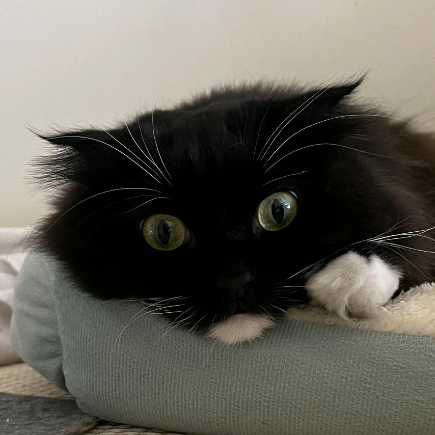 甲烷