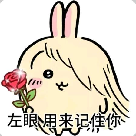 书呆