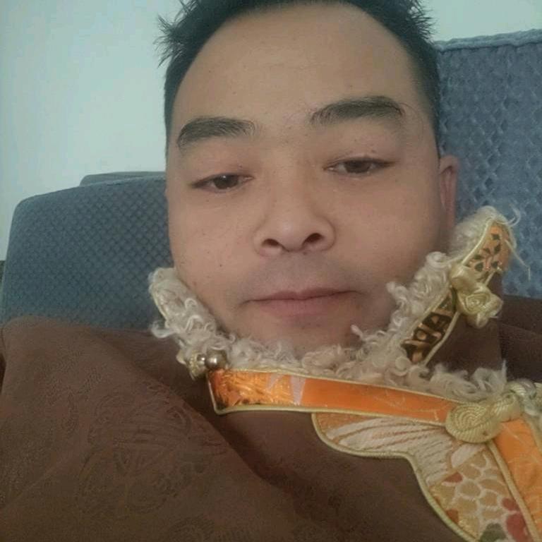 受伤的狼。