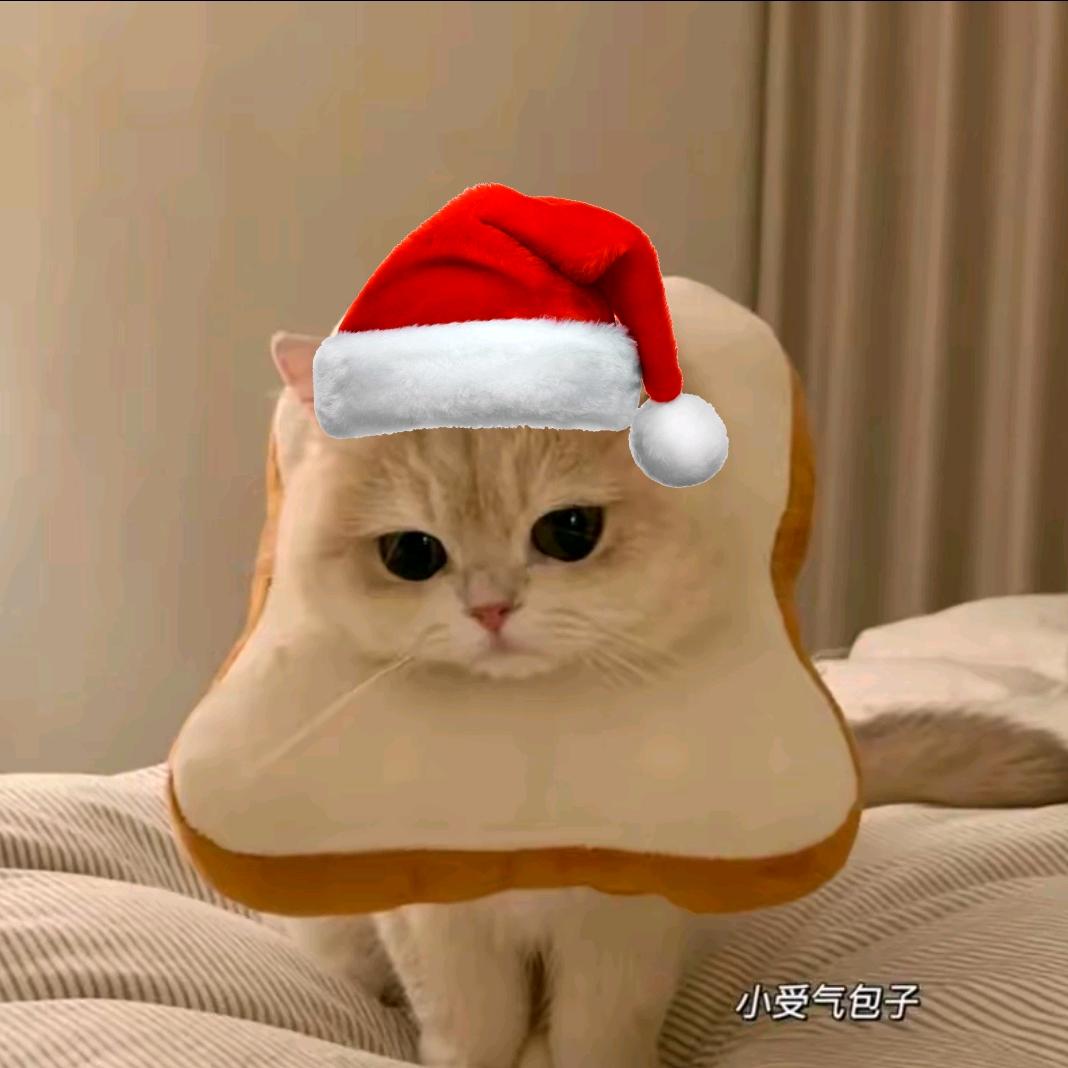 我是公鸭嗓