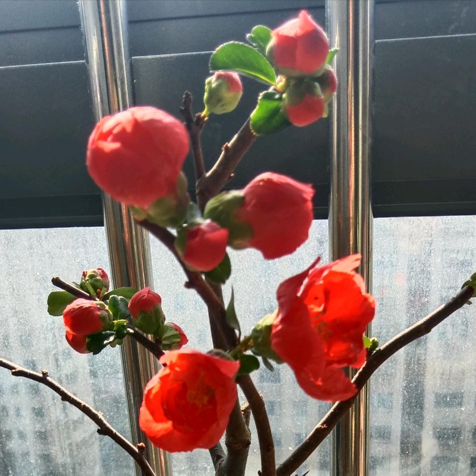 春暖花开✍️🇨🇳