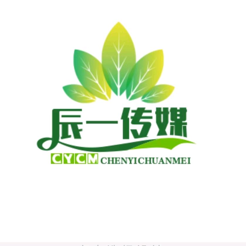 辰一传媒