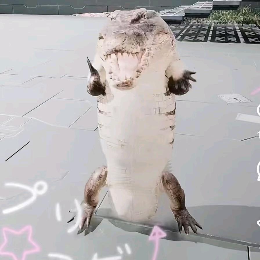 小小东下士