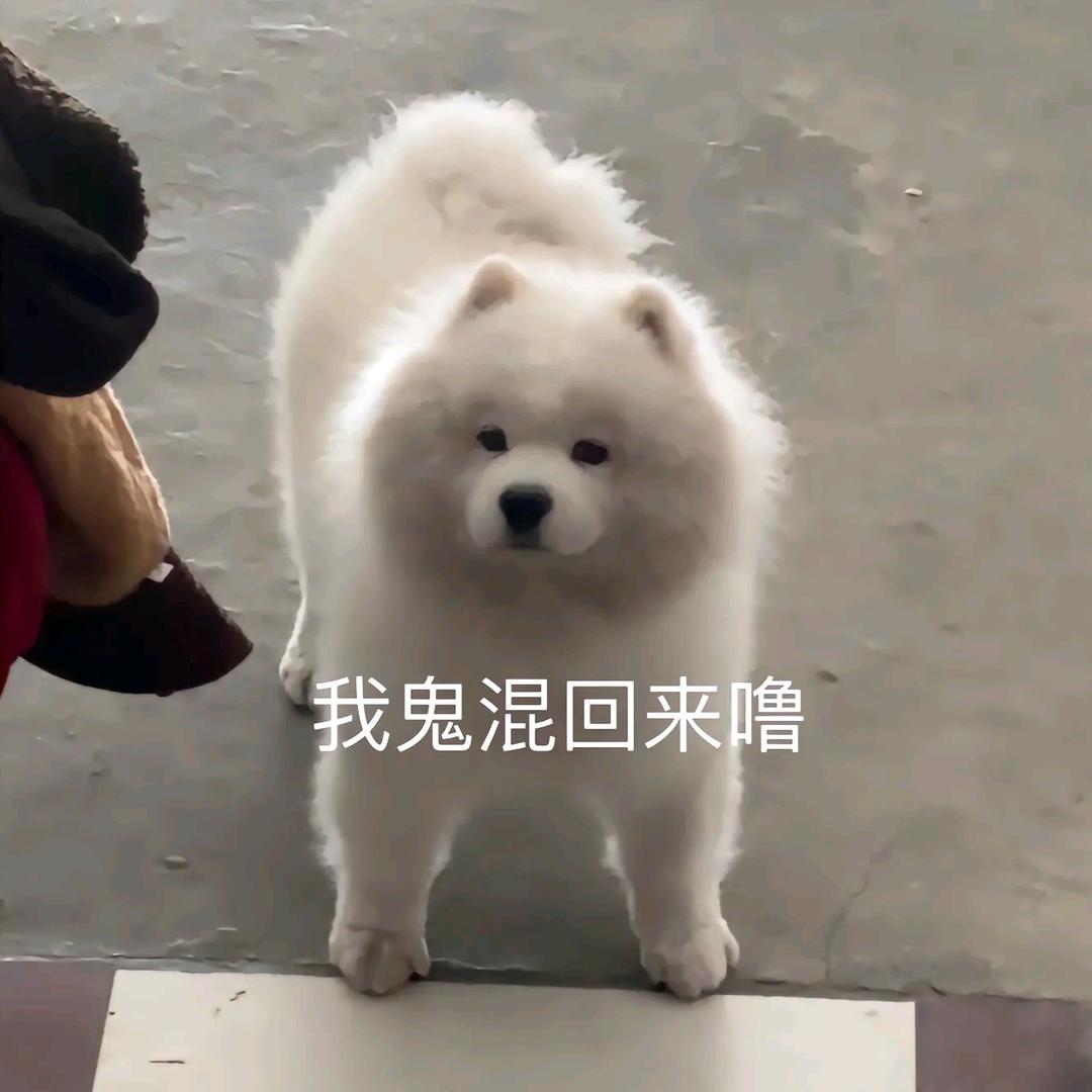 ➬奶の一口睡觉🖤