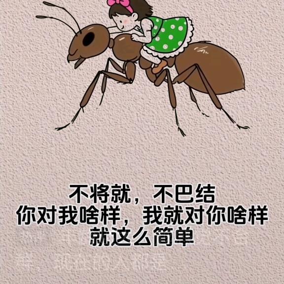 雪儿