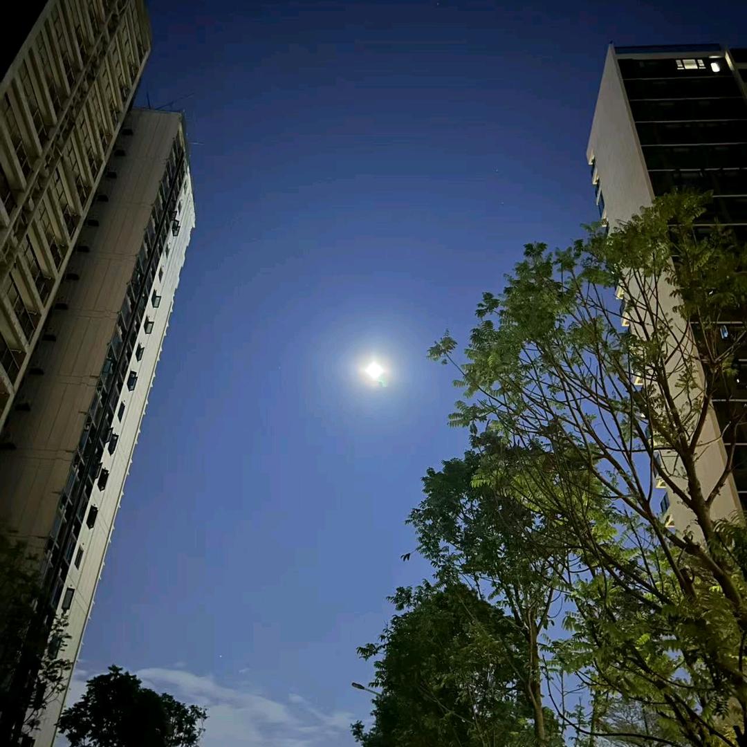 熙铂