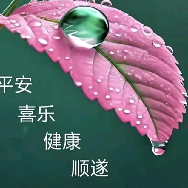 V💎ᴬᴼ鸿雁🌈活岀爱