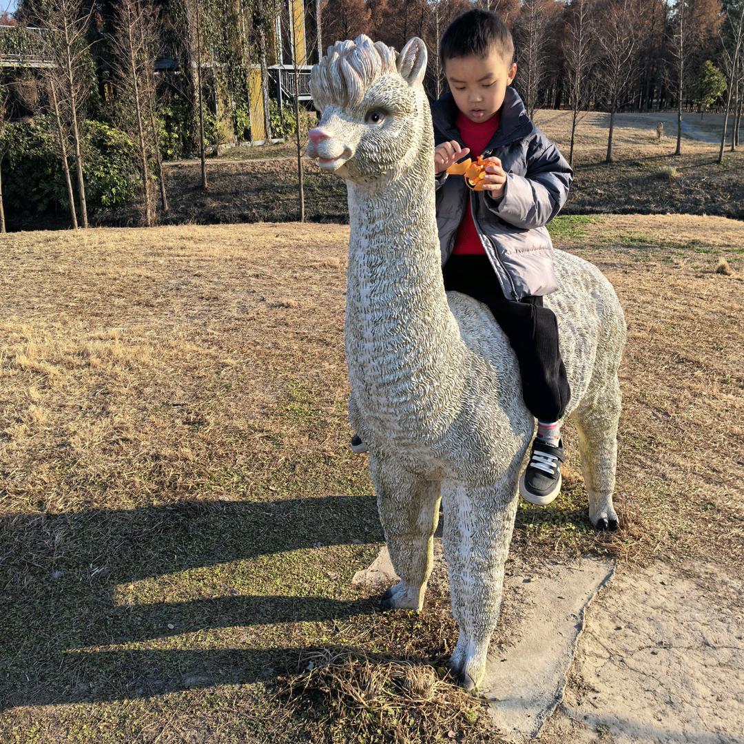 ✨开心每一天，哈哈(≧ω≦)✨