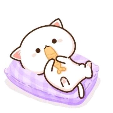 ꉂꉂ(ᵔᗜᵔ*)