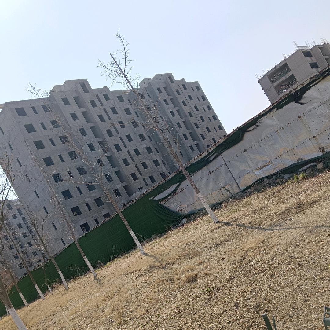 用户8168515492300