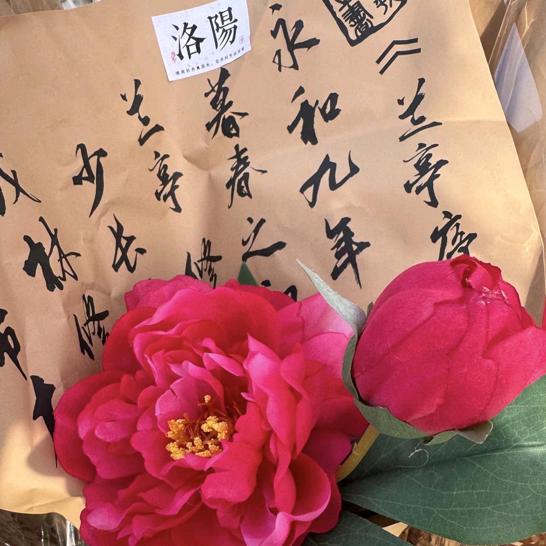 洛阳古都牡丹