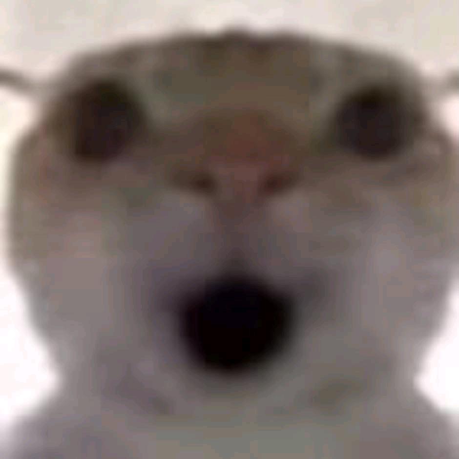 焚寂