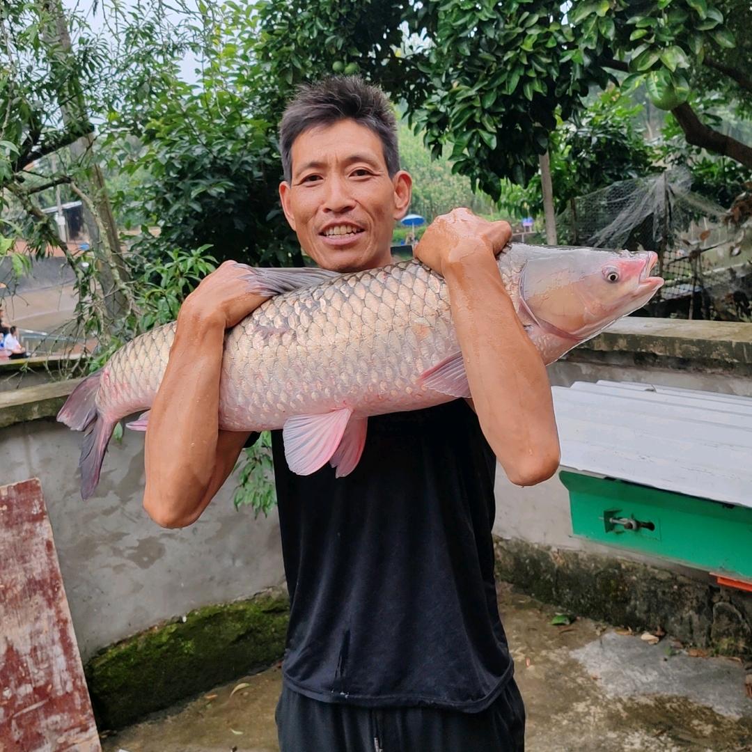 范家坪大物塘蒋孝均