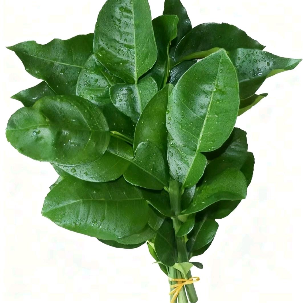 指纹