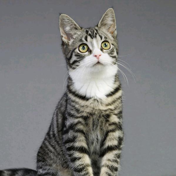 骑着蜗牛去散步