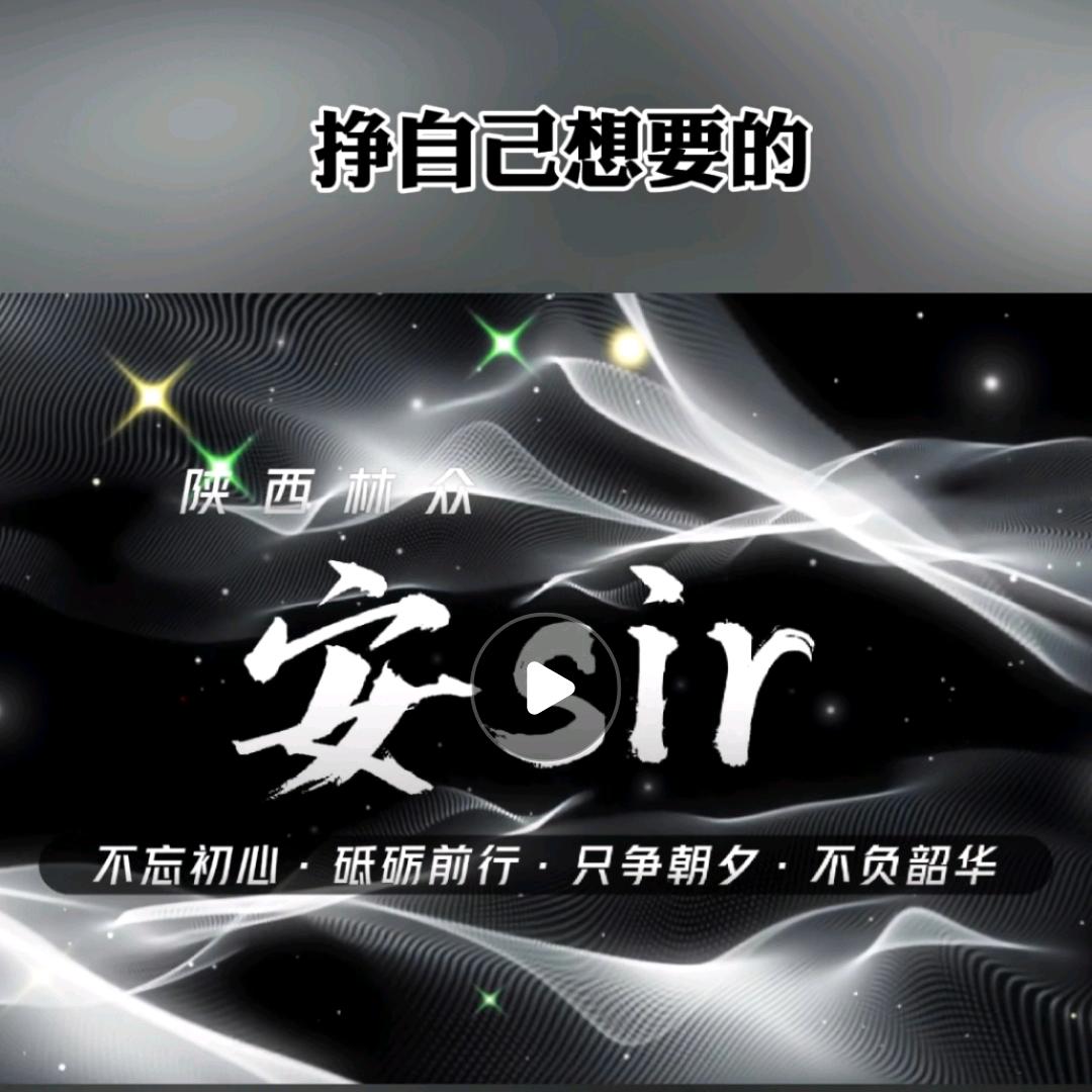 陕西林众-安sir