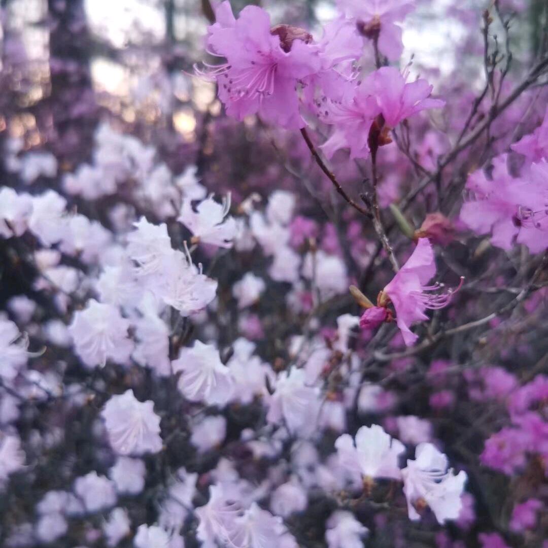 重生之我在景区开小卖店