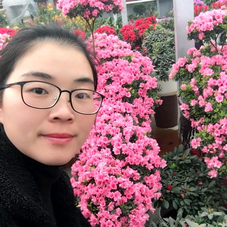 海霞的鲜花精选