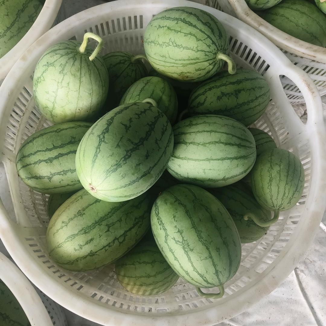 荣