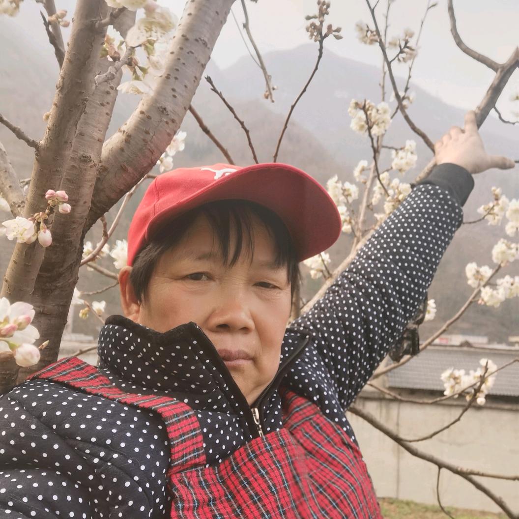 陈一辈子