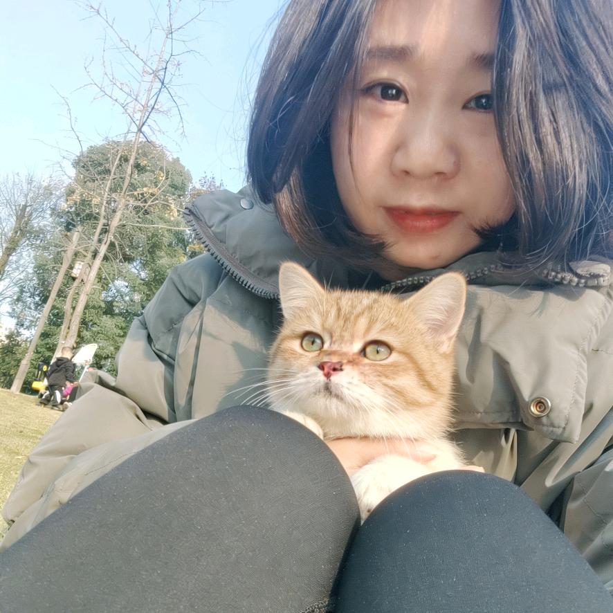 滚滚是只贪吃喵