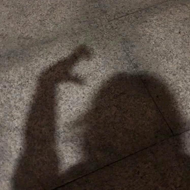 试试酱(๑˙ー˙๑)